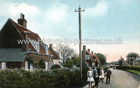 Queen Street, Southminster, Essex. c.1908